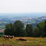 Mit Moeblierter Terrasse Und Waldblick By Interhome * Freudensee