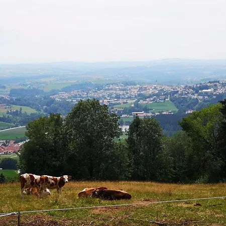 Mit Moeblierter Terrasse Und Waldblick By Interhome * Freudensee