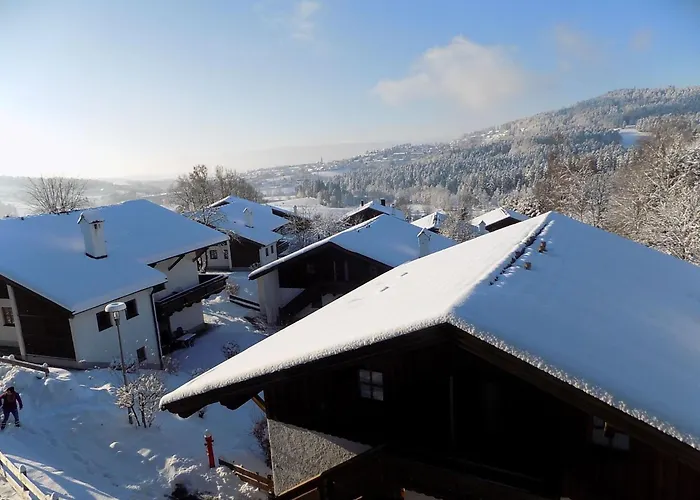 Apartman Mit Moeblierter Terrasse Und Waldblick By Interhome *