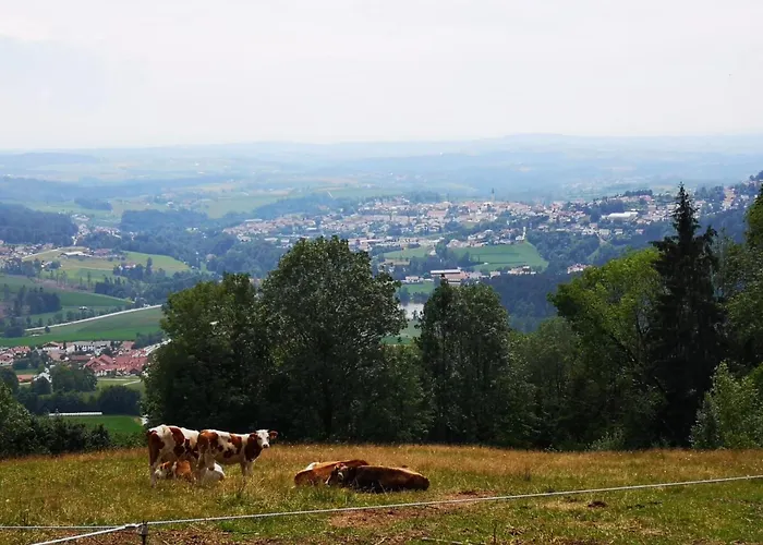Mit Moeblierter Terrasse Und Waldblick By Interhome * Freudensee